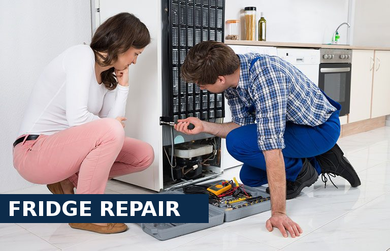 Fridge Repair Eltham